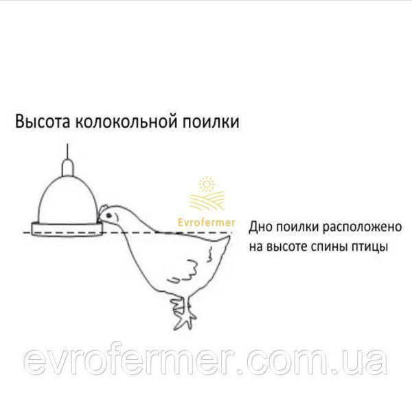 Автоматическая подвесная колокольная поилка для домашней птицы (с баластом) арт.833 фото