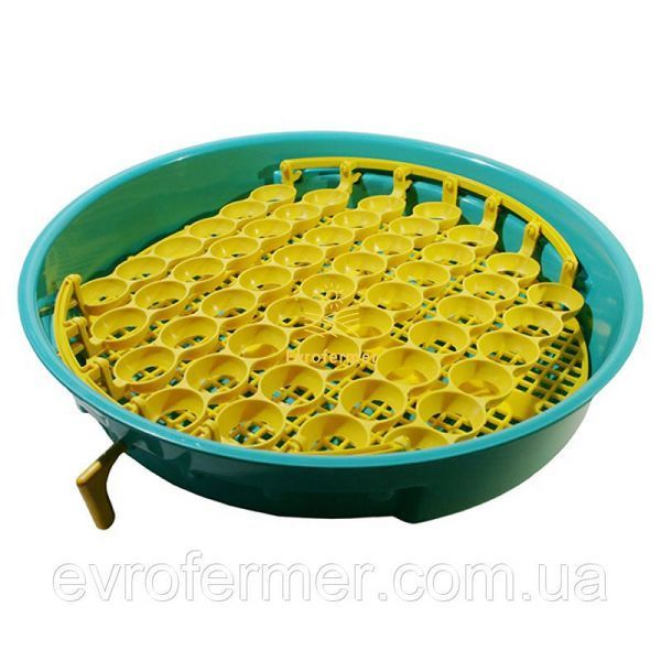 Инкубатор Puisor IО-103TН на 70 яиц 1376200315 фото
